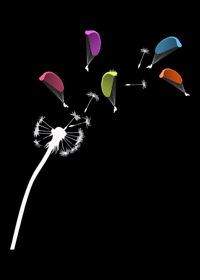 Skydive gift