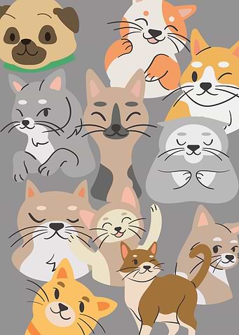 Cats and dogs