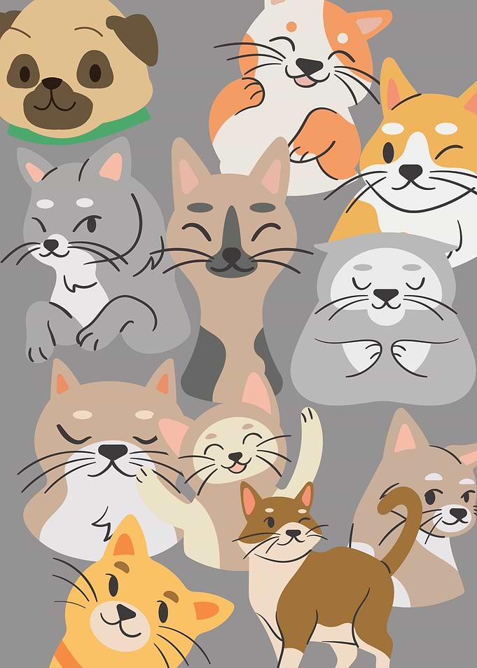 Cats and dogs
