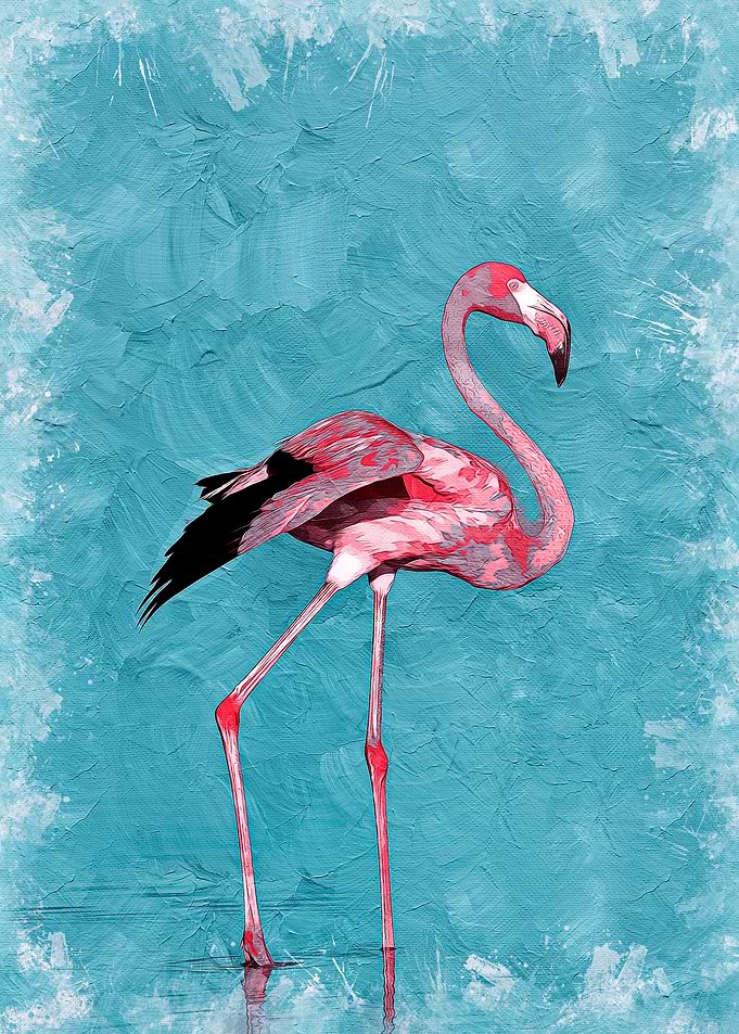 Flamingo