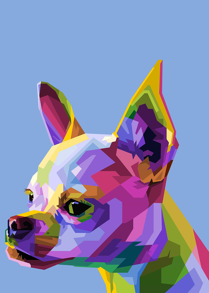 cute chihuahua dog