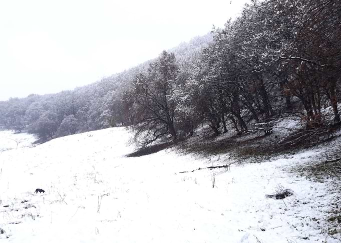 Cold days