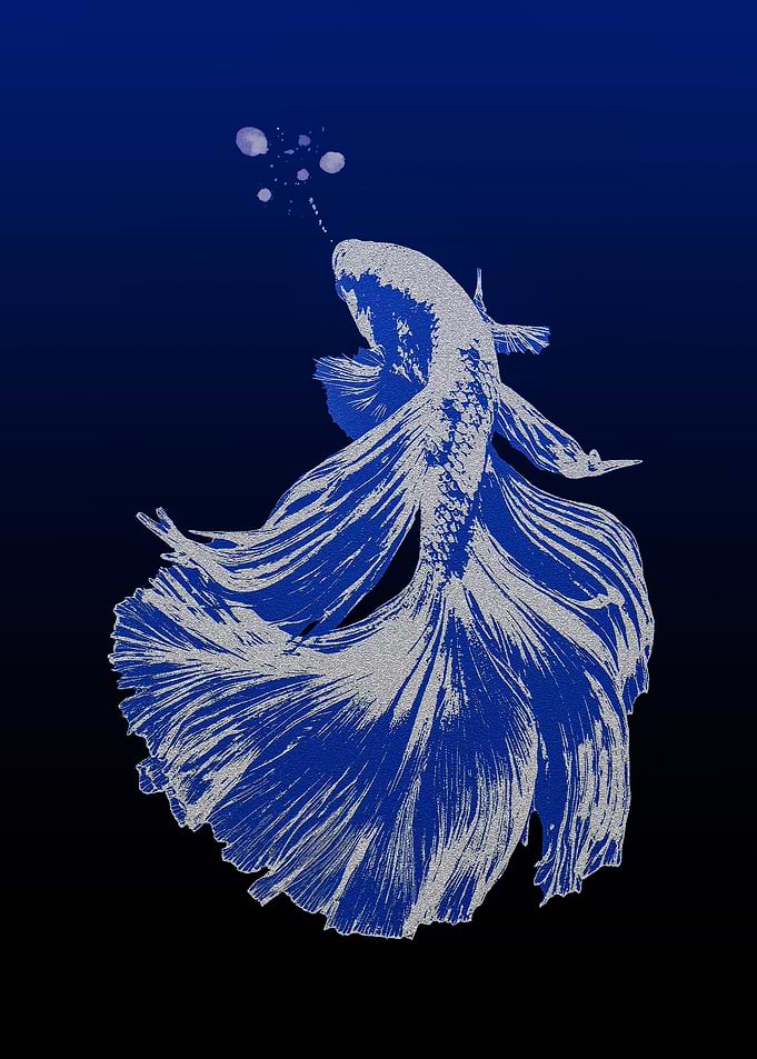 Bettafish