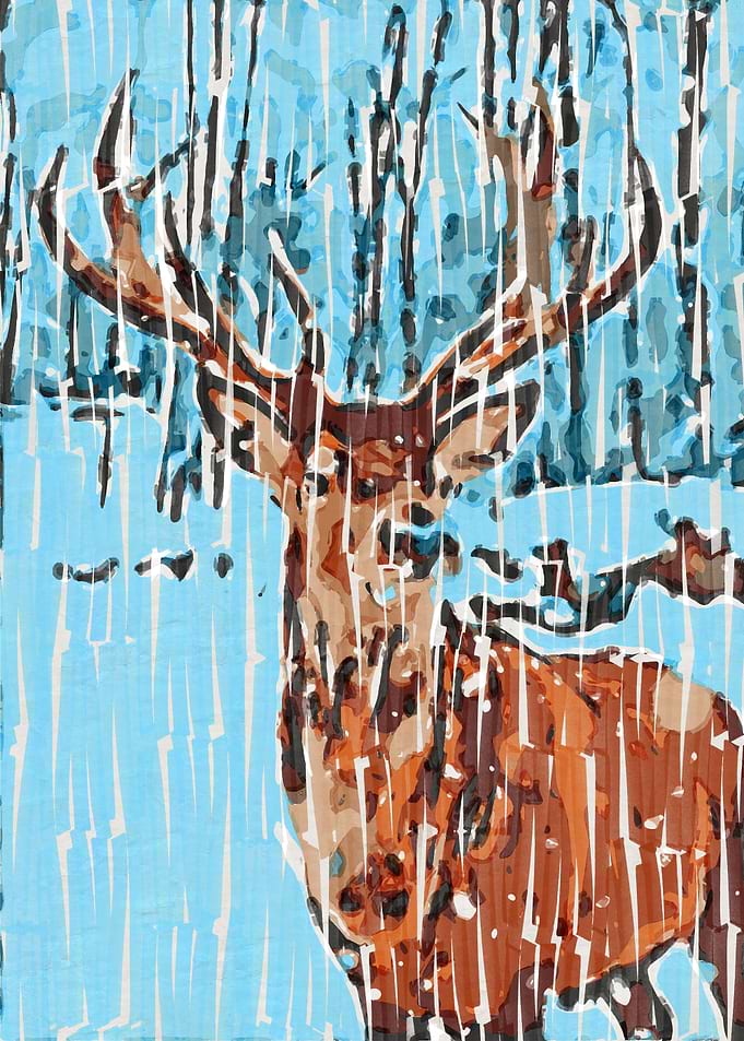 THE REINDEER PORTRAIT