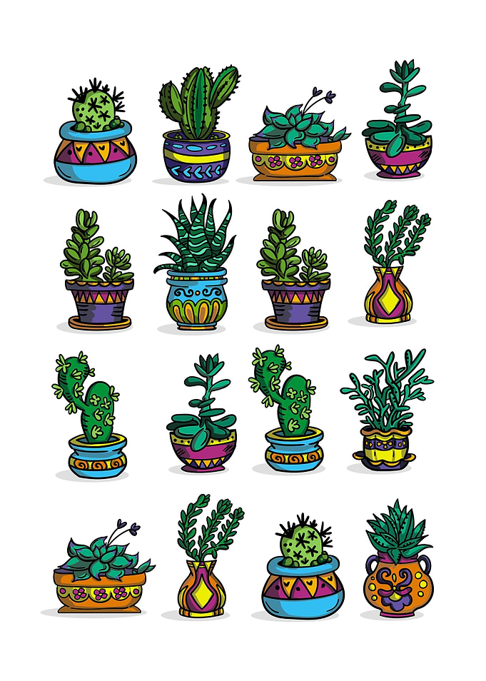 Succulent Cacti Plant Gift