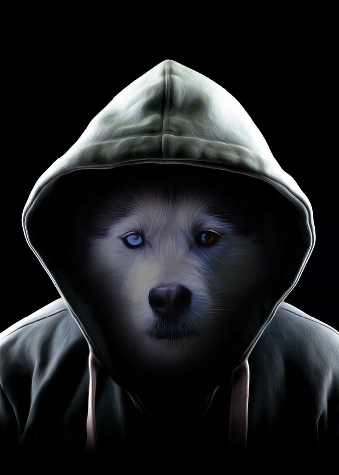 Hoodie Husky