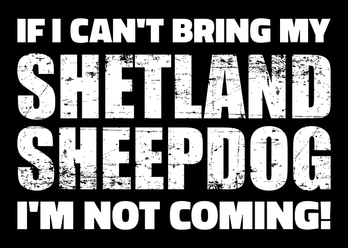 Shetland Sheepdog