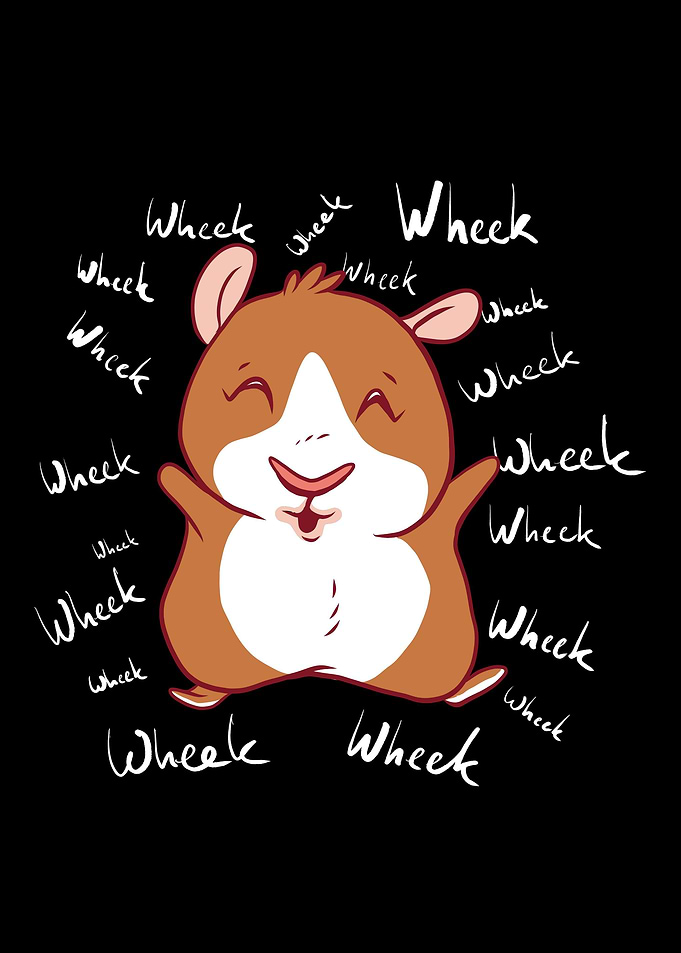Guinea Pig Gift Wheek