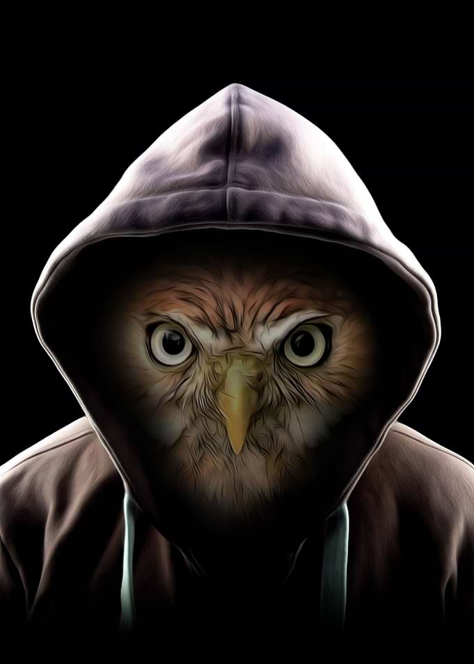 Hoodie Owl