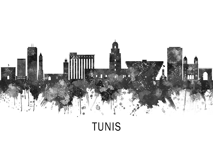 Tunis Skyline BW