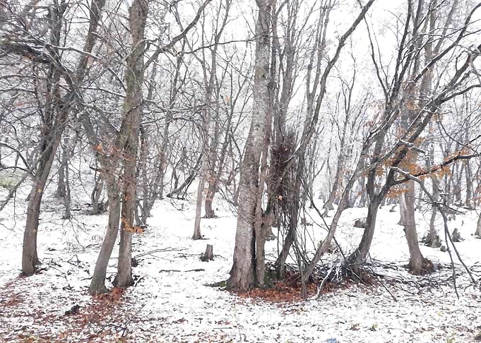 Winter moments