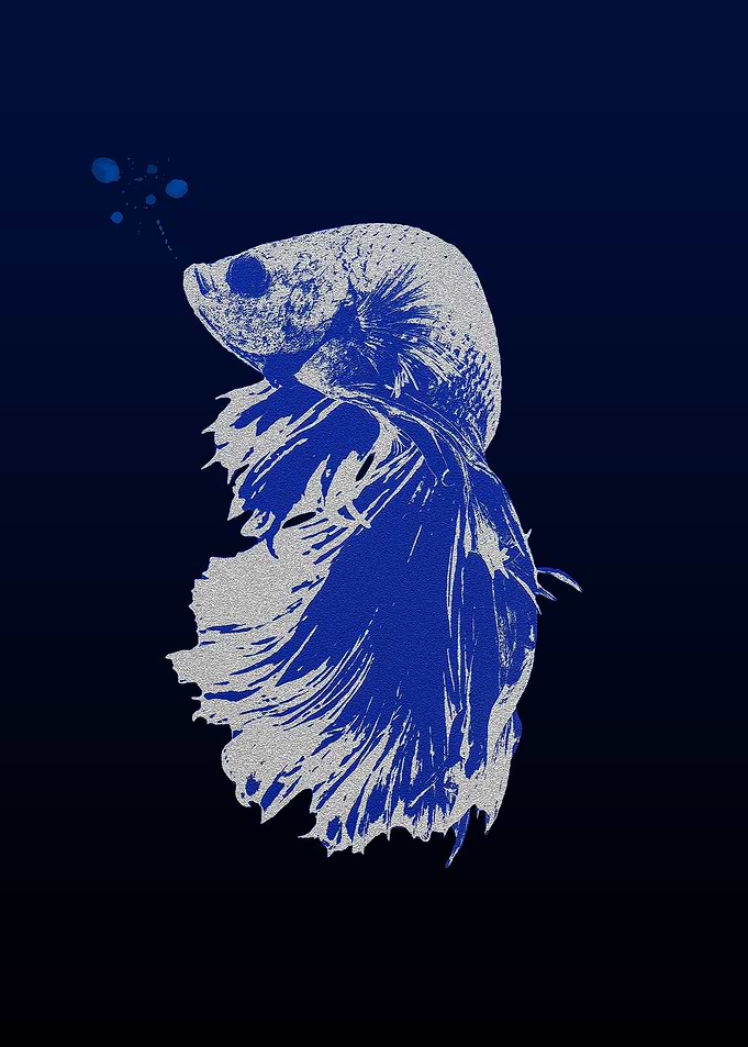 Bettafish