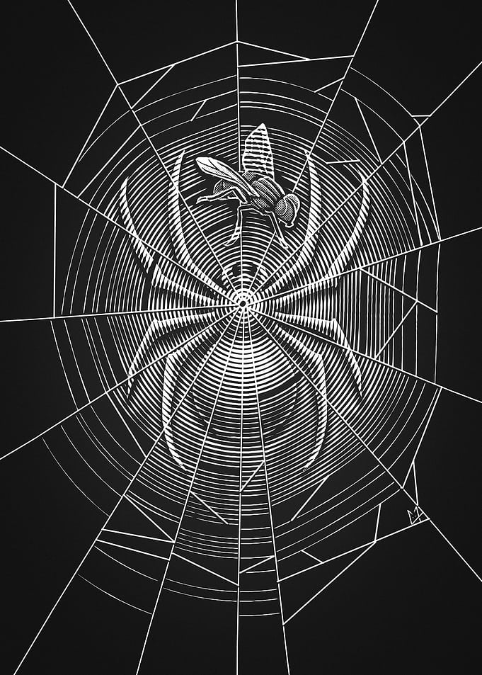 Spider Web