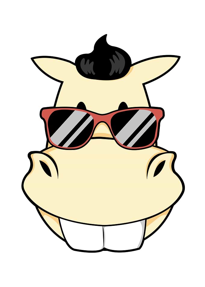 Horse Sunglasses