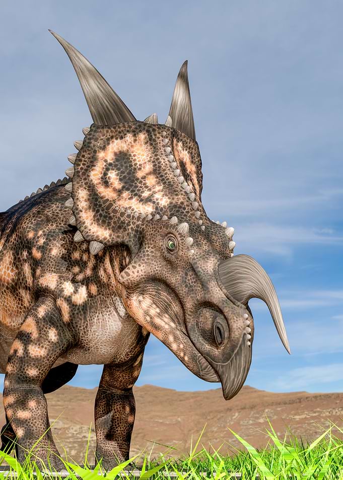 Einiosaurus