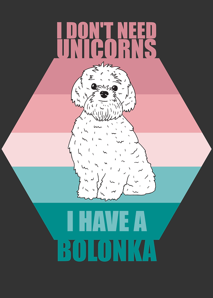 I Dont Need Unicorns I
