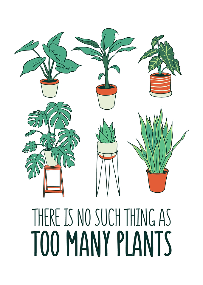 Gardening Too many Plants