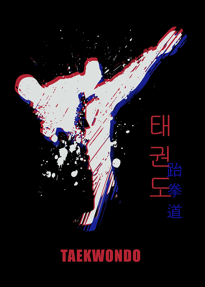 Taekwondo Tae Kwon Do or