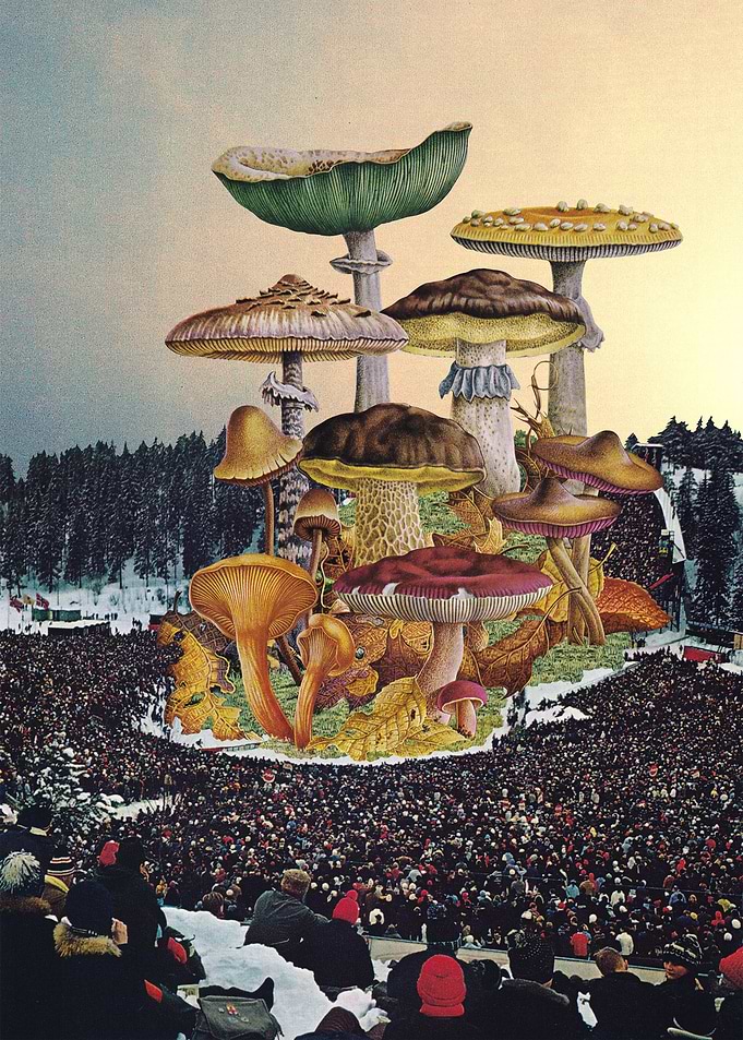 Mushroom Festival