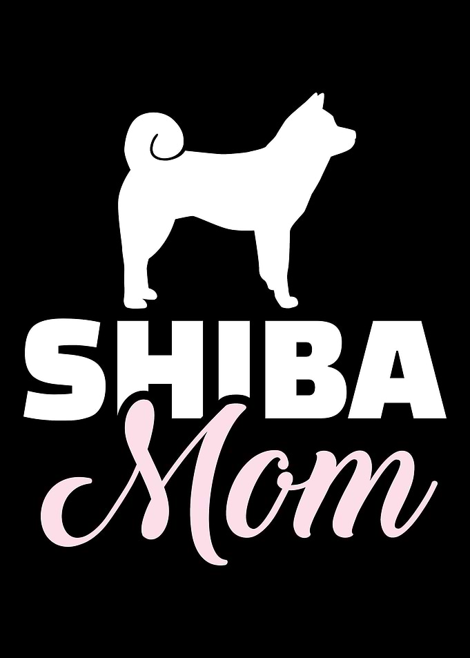 Shiba Inu