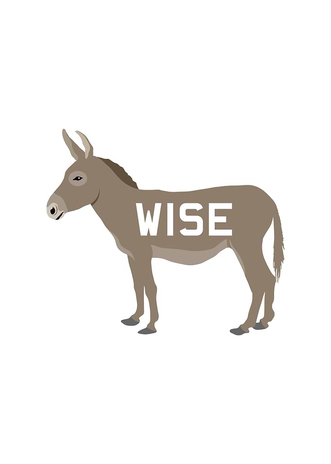 Wise Donkey