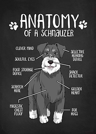 Anatomy of a Schnauzer