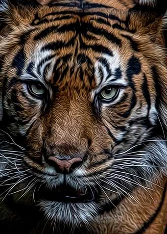 Tiger Watercolor