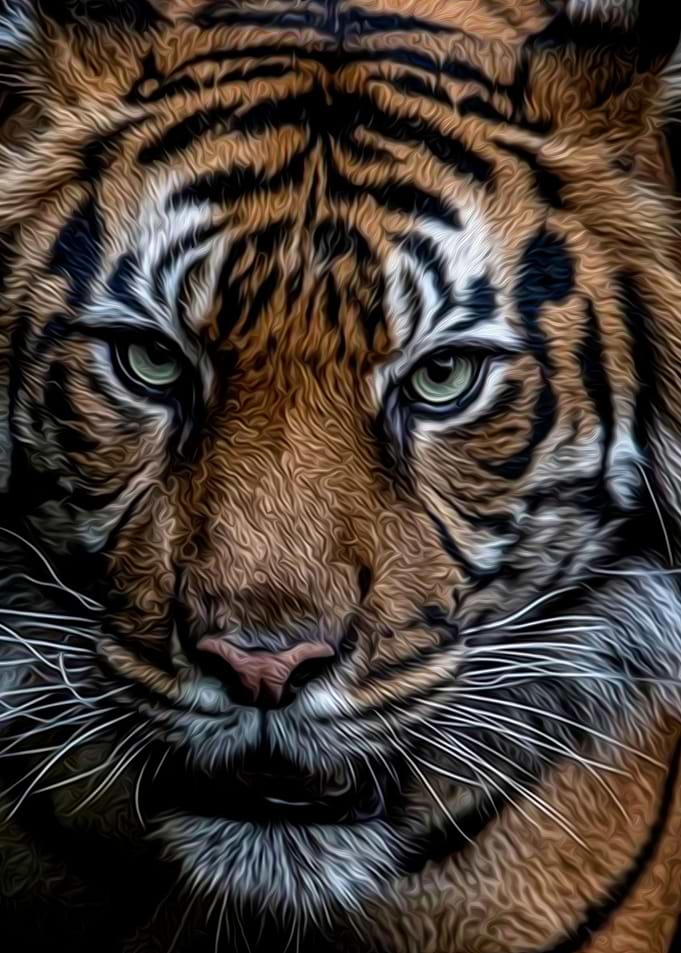Tiger Watercolor