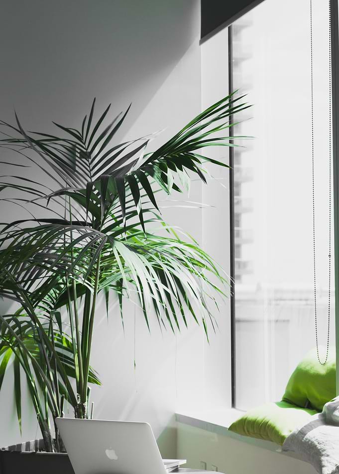 Green Office