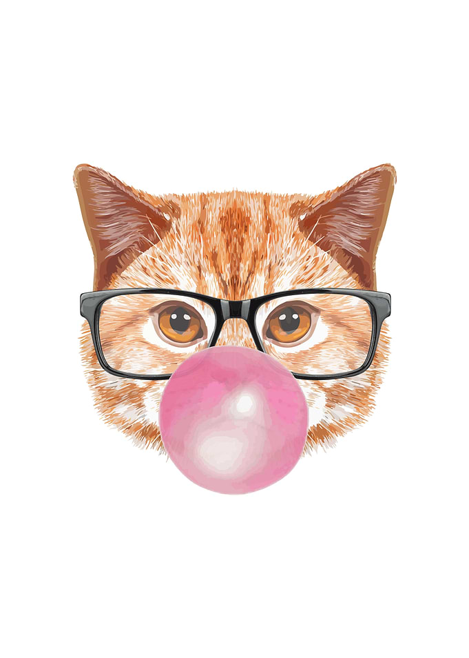 Chewing Gum Cat