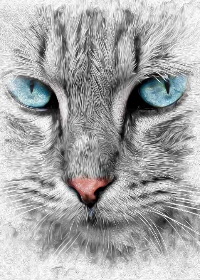 Cat Watercolor