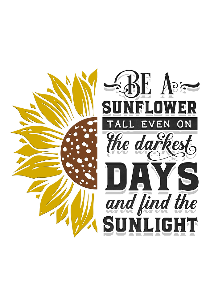 Find the sunlight