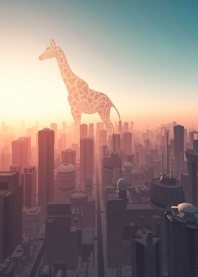 Giraffe in town