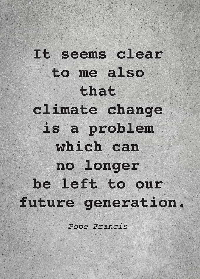 Pope Francis Quote L029