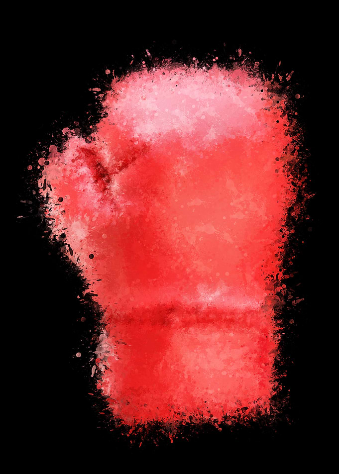 Boxing pride