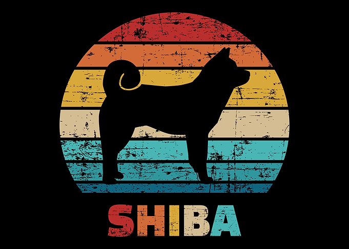 Shiba