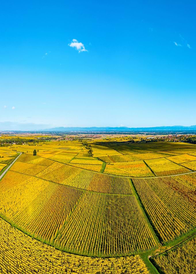 Alsace