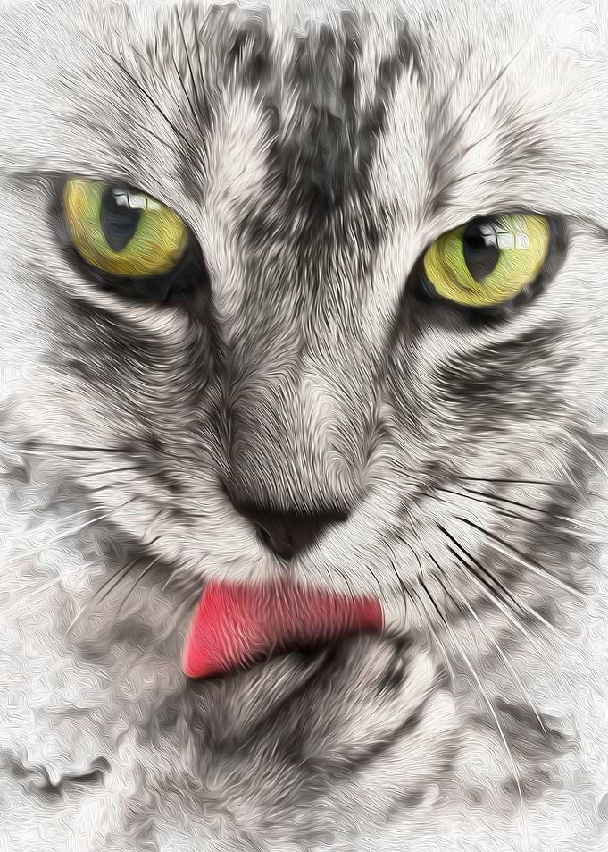Cat Watercolor