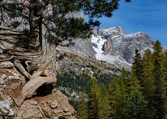 dolomite viewpoint
