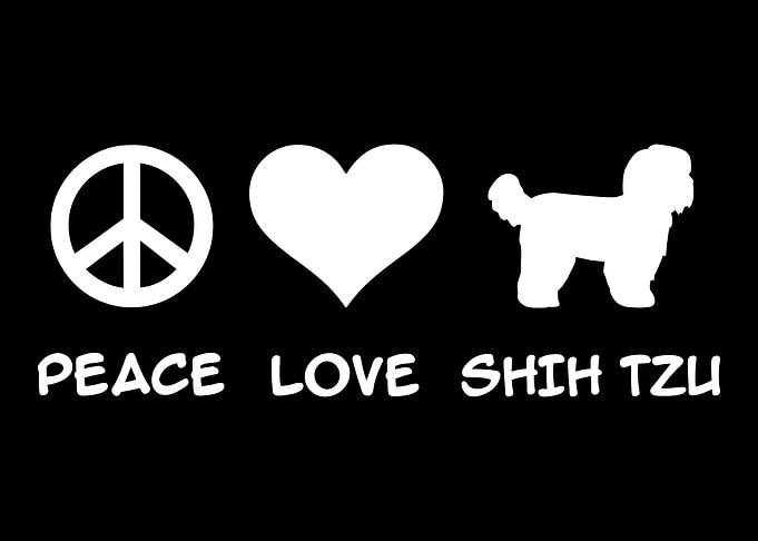 Shih Tzu