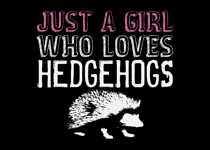 A Girl Who Loves Hedgehogs
