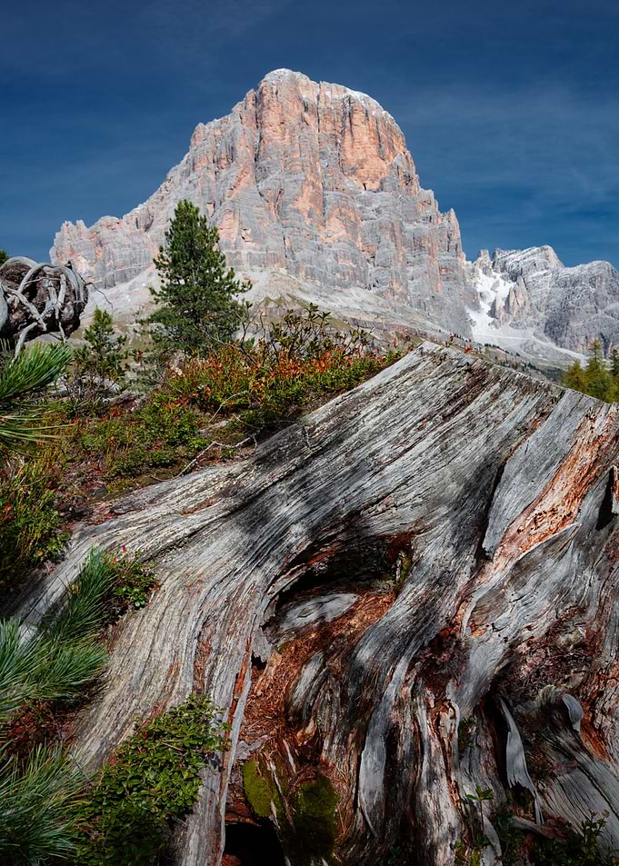 wood dolomite view