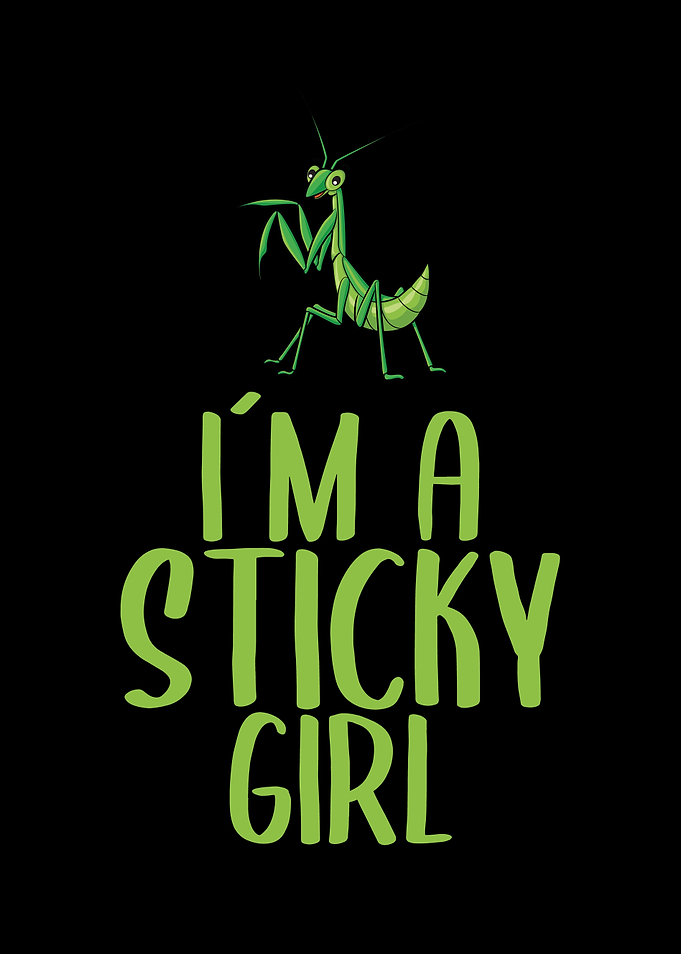 Praying Mantis Stick Bug