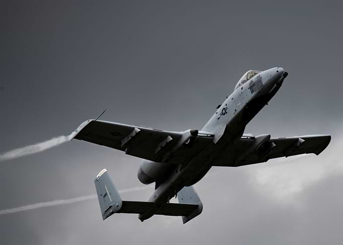 Warthog