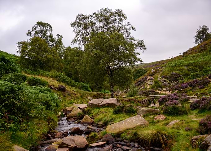 Yorkshire Landscape