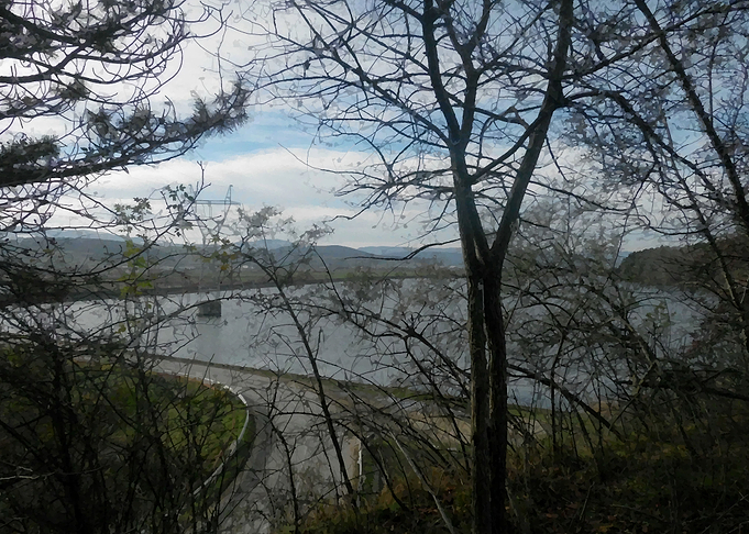 Lake view