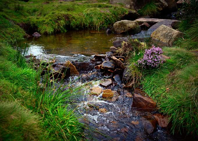 Yorkshire Landscape