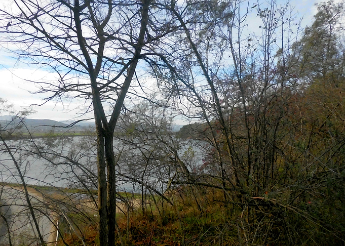 Hill view