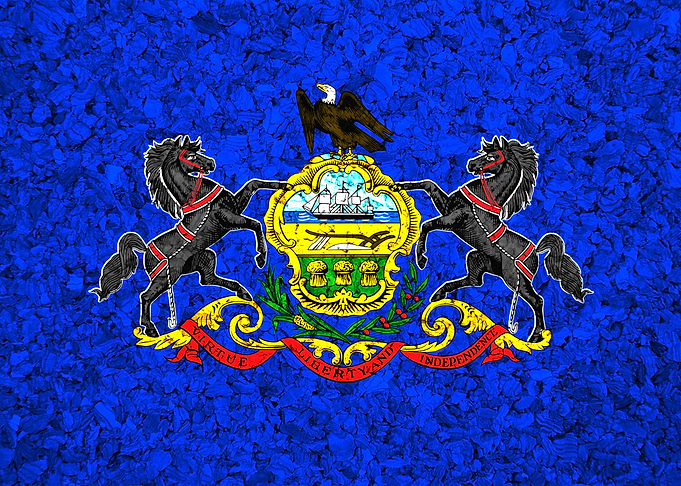 Pennsylvania State Flag
