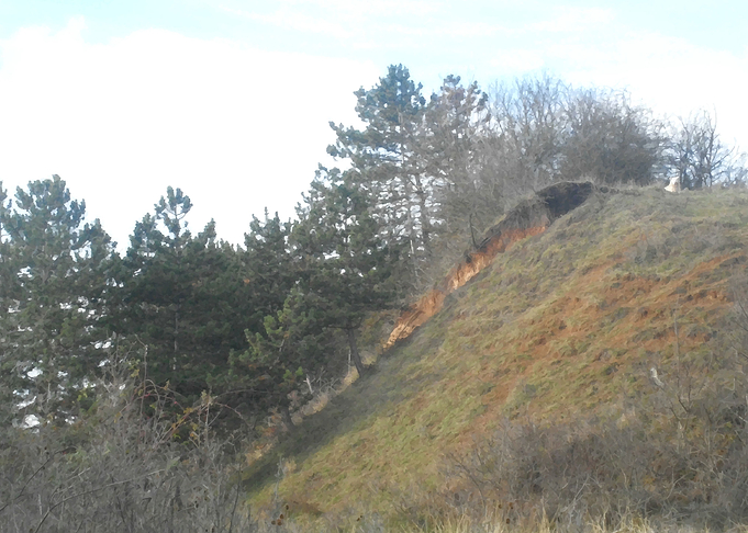Hiking